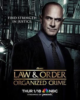 法律与秩序：组织犯罪 第四季 4