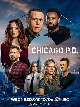芝加哥警署 第八季 第15集