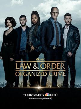 法律与秩序：组织犯罪 第三季 第07集