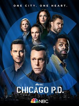 芝加哥警署第九季 第20集