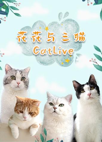 花花与三猫catlive 20191025期