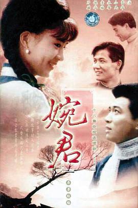 婉君 第12集