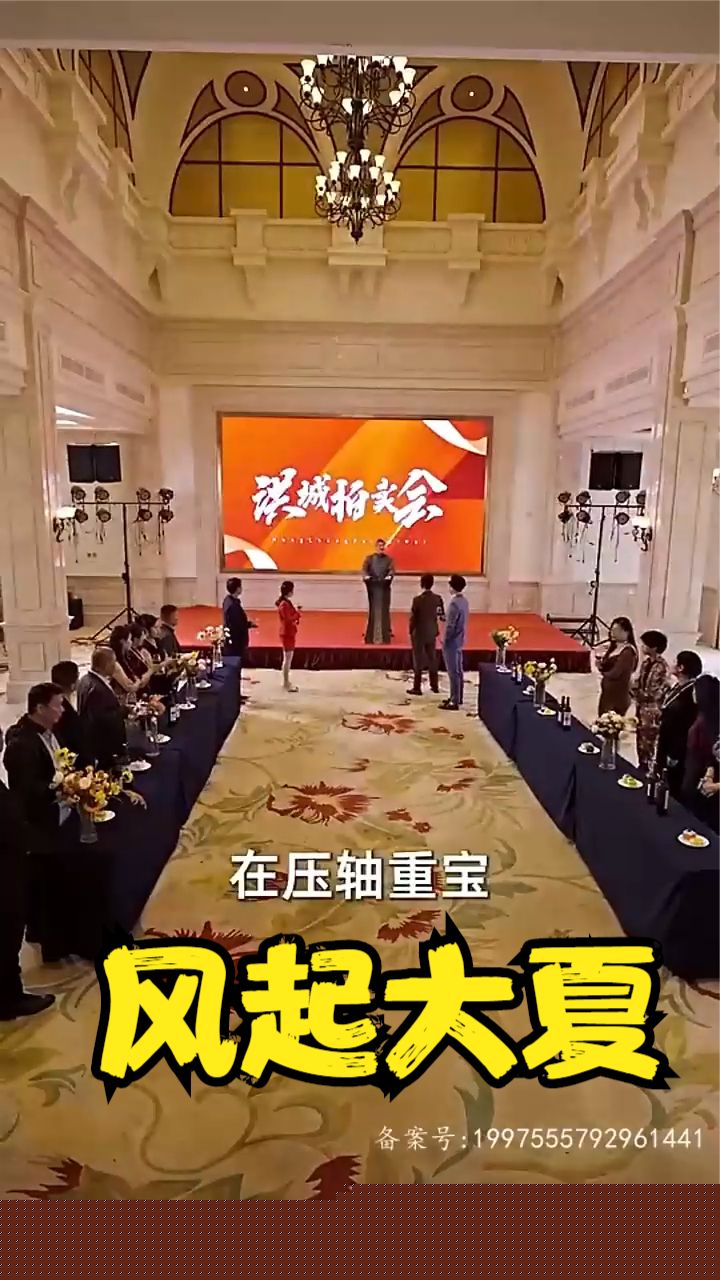 风起大夏 全集(大结局)