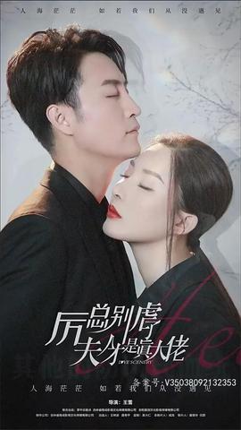 历总别虐了夫人才是真大佬 全集(大结局)