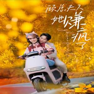 顾总夫人她赚疯了 全集(大结局)