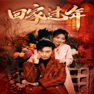 回家过年 全集(大结局)
