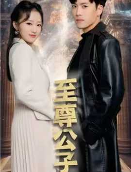 至尊公子 全集(大结局)