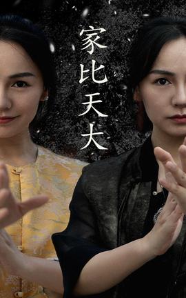 家比天大 全集(大结局)