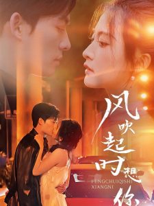 风吹起时想你 第41-56集完结(大结局)