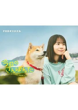 今日份的散步 第04集