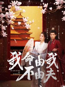 我命由我不由夫 第1-20集