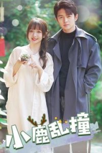 小鹿乱撞 全集(大结局)