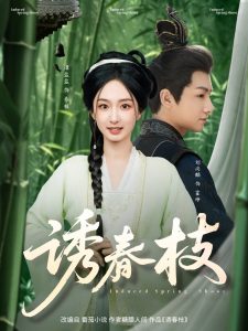 诱春枝 全集(大结局)