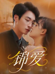 锦爱 第41-60集