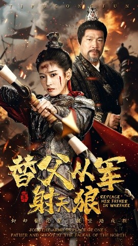 替父从军射天狼 全集(大结局)