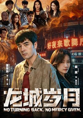龙城岁月(全集)